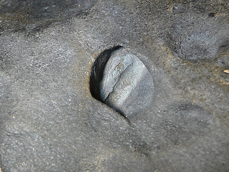 13.980 kilogram individual (detail of cavity on rear face with an absence of crust inside the bowl feature)