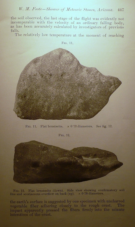 Foote monograph (photographic reference of 604 gm oriented specimen)