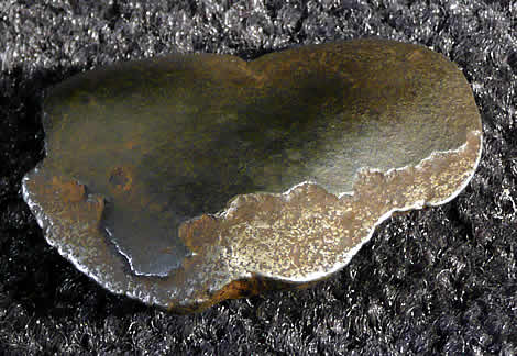 37.8 gram oriented individual (leading edge)