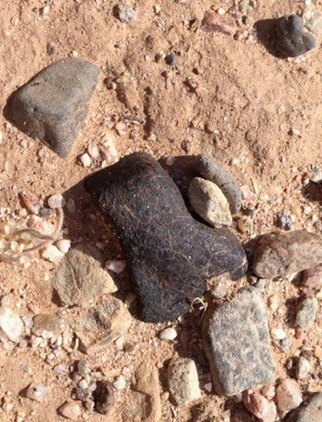 Robert's first find of 28.7 grams, in situ