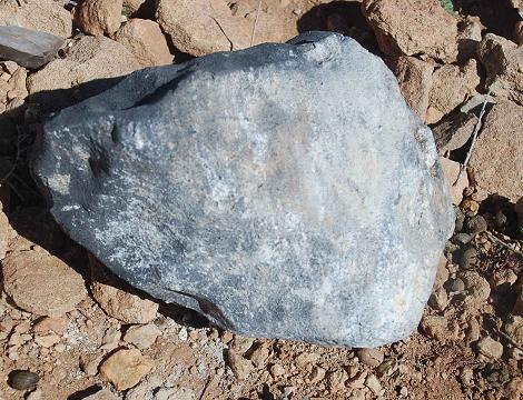3.6 kilogram complete individual in situ (note that the meteorite was not the only recent fresh fall in the area)