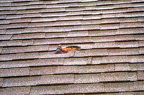 Mr. Foster's roof, post-impact (photo by Matt Morgan)