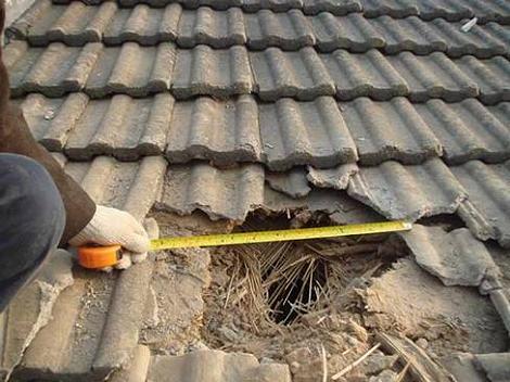 Entry hole in the farm house's clay tile roof