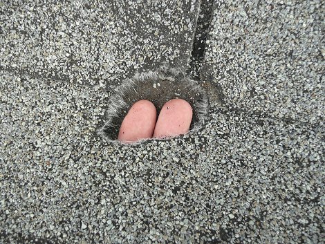 Hole in roof shingle