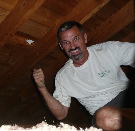 In the attic near the roof hole