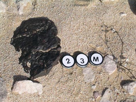 The meteorite in situ in the Omani desert